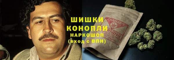 твердый Алзамай