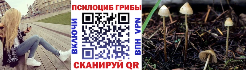 Галлюциногенные грибы мухоморы  Можга 
