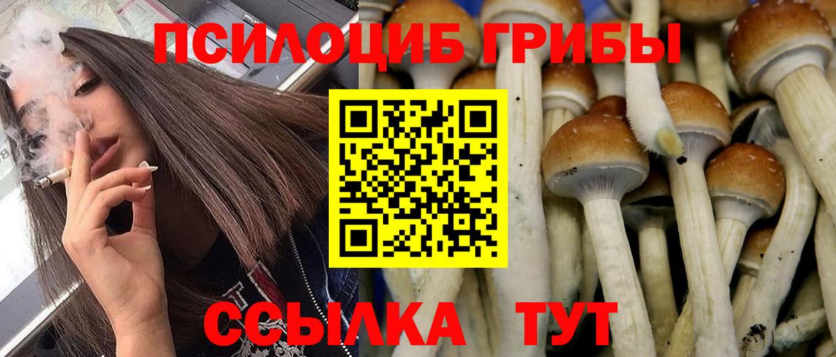 Можга  где продают   Вход с VPN  Псилоцибиновые грибы GOLDEN TEACHER 