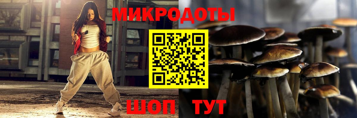 Псилоцибиновые грибы Psilocybine cubensis Можга
